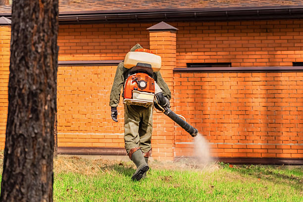 Bed Bug Clearance Verification and Documentation in Montebello